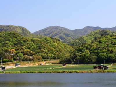 今年は綺麗に色付く予想 〜淡路島の紅葉スポットをご案内