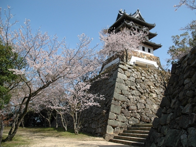 【お花見情報】この春訪れたい淡路島 桜の名所