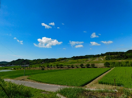 【淡路島✕サイクリング】ホテルに泊まって気軽に淡路島ライド