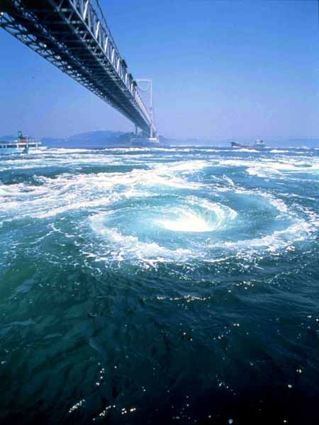 大自然の脅威に触れ、恵みに舌鼓 〜うずしおクルーズ＆うずしお朝市