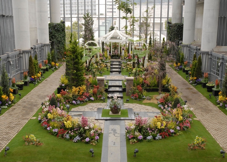 【奇跡の星の植物館】季節の花々や世界の珍しい植物を展示。お子様連れやデートにオススメ