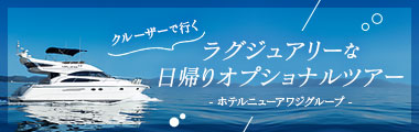 オプショナルクルーズツアー